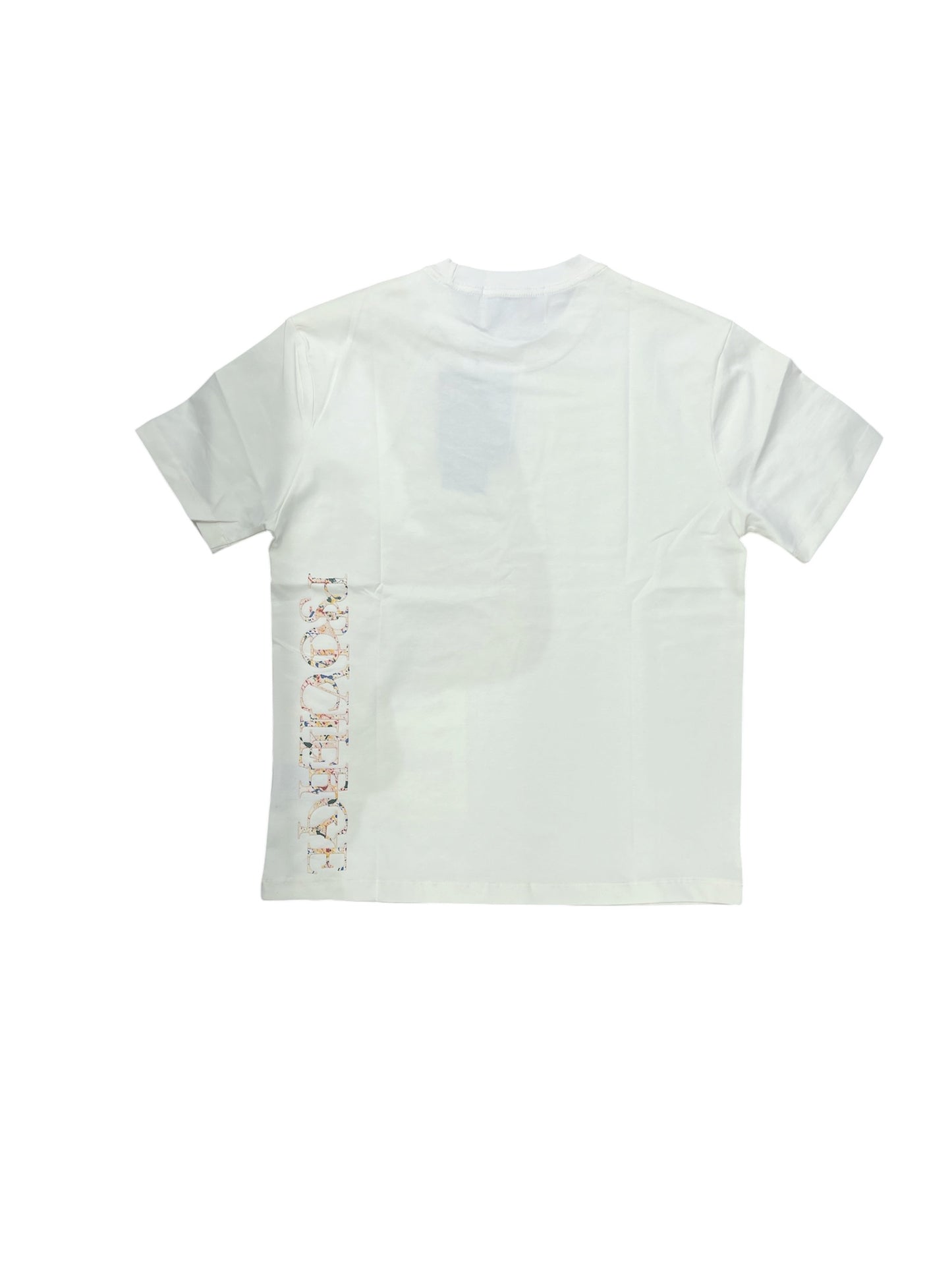 Privilege Society Men's Arte Gallery Tee-Cream